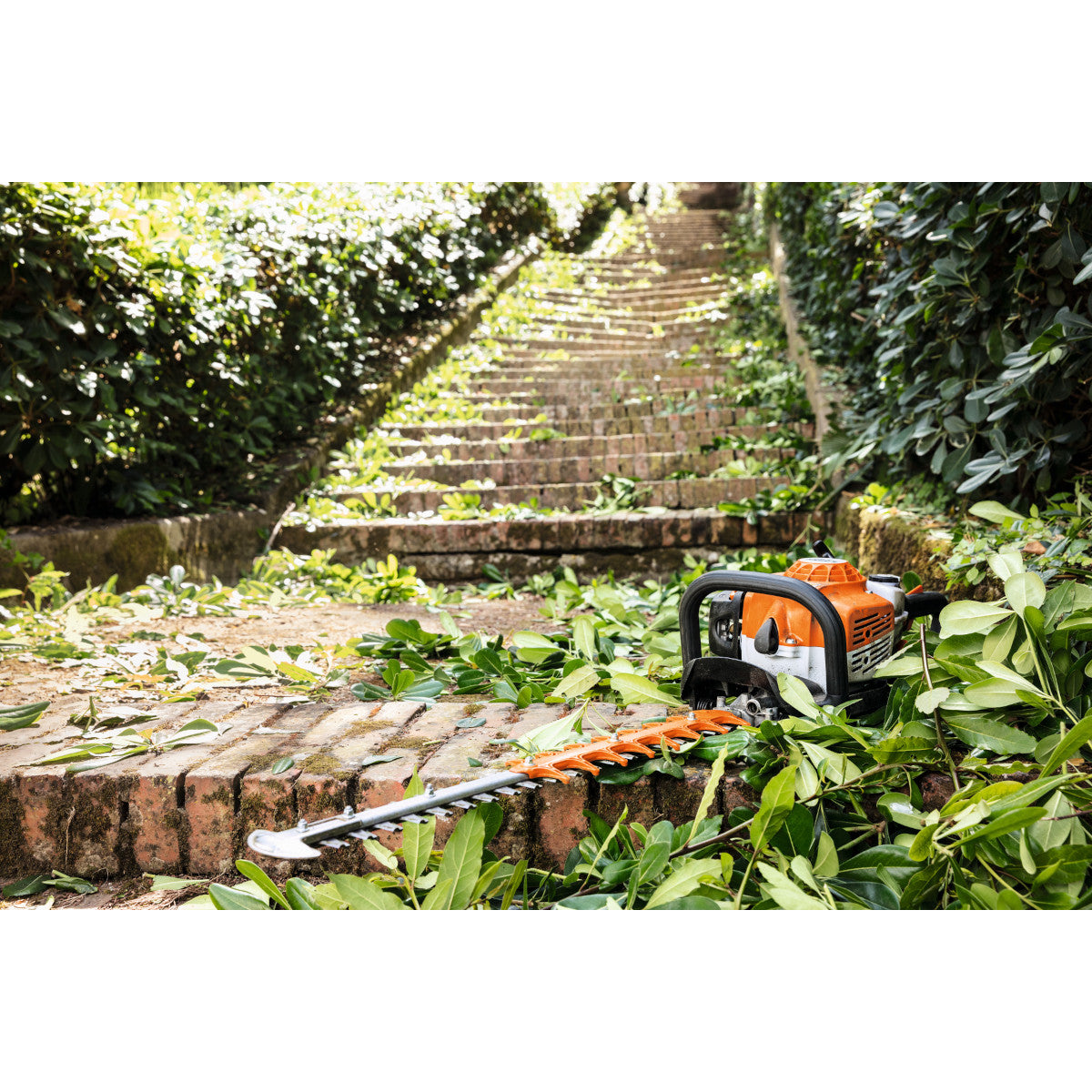 taille-haie thermique Stihl HS82T