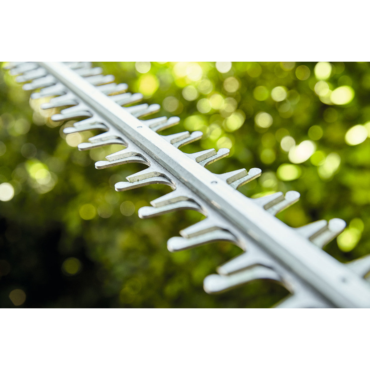 Lamier de taille haie stihl