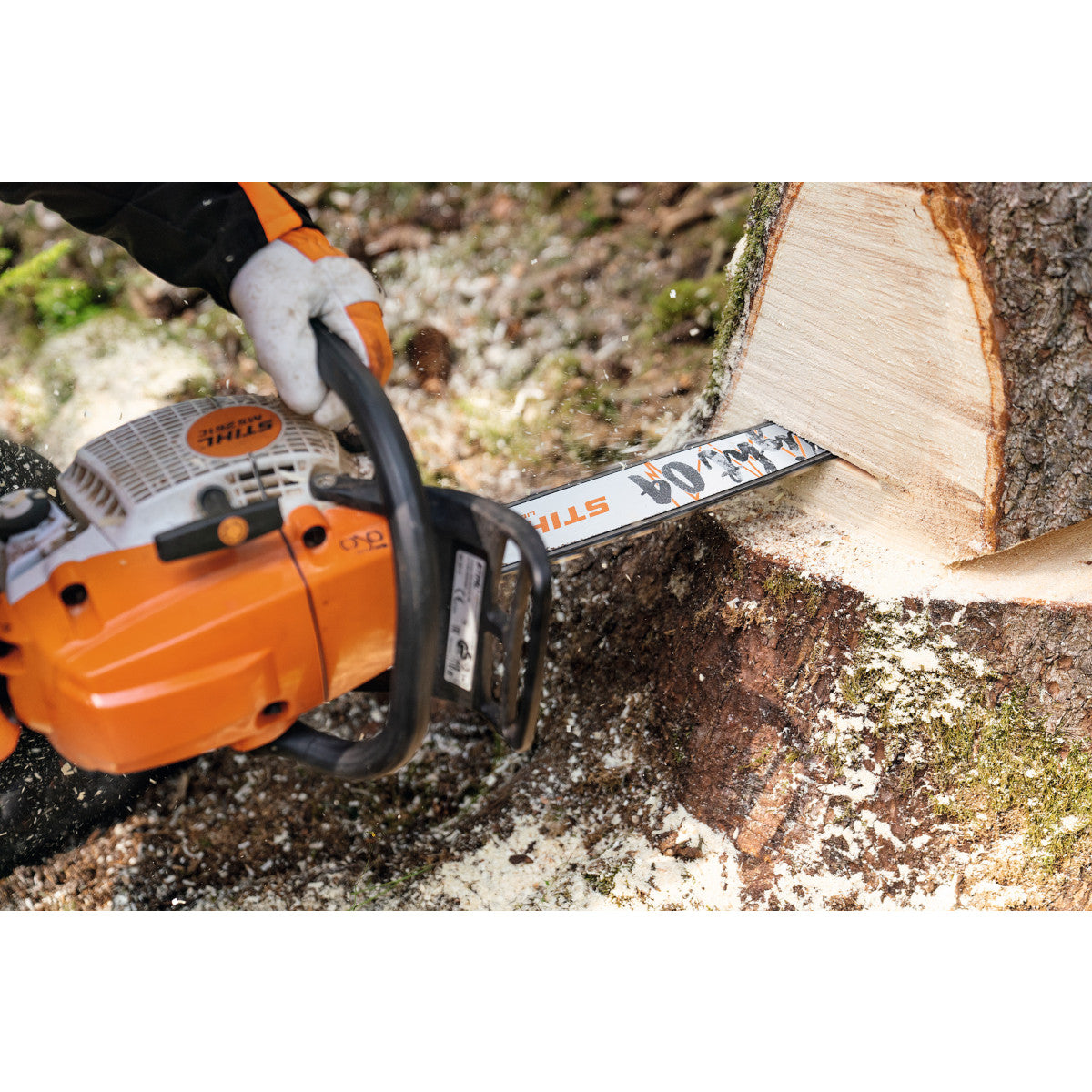 tronçonneuse thermique stihl ms261