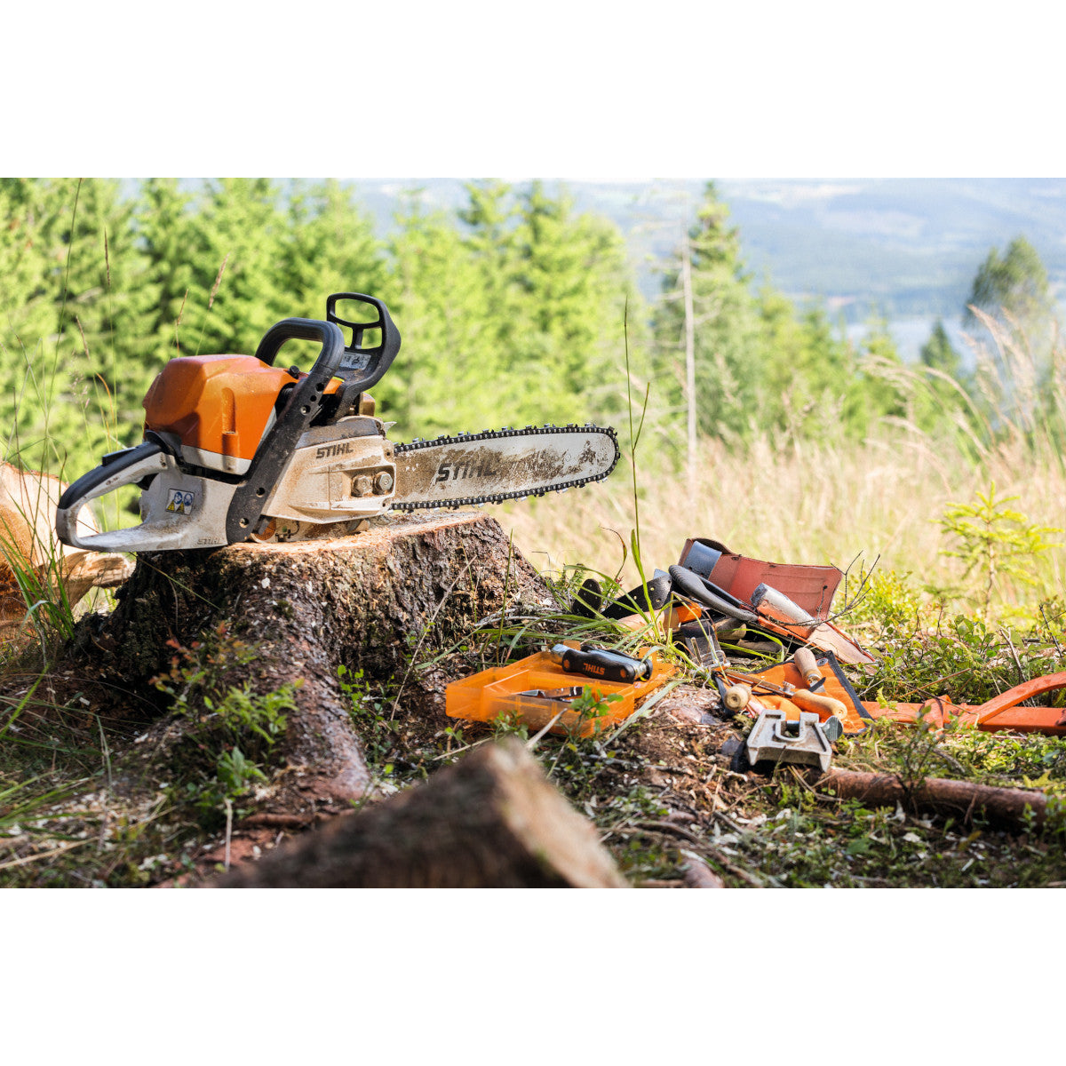 tronçonneuse thermique stihl ms362