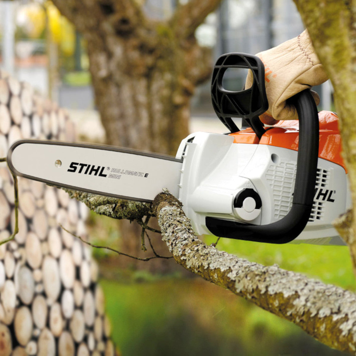 Msa 160 t deals stihl